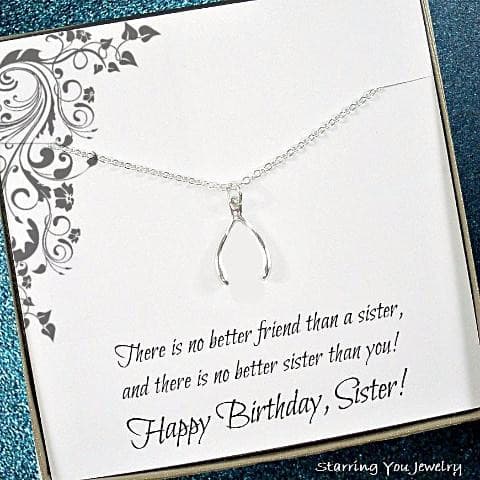 Birthday Gift for Sister, Sister Jewelry, Silver Wishbone Necklace –  Starring You Jewelry
